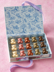 Teddy Fresh x andSons Collection