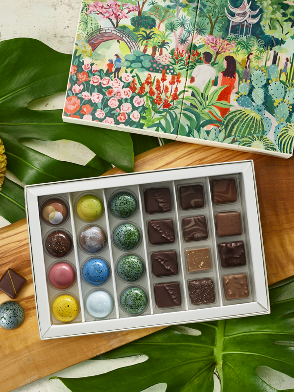 Luxury chocolate gift selection box