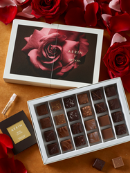 AERIN x andSons Collection