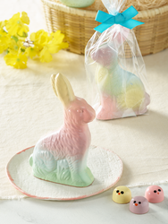 Hollow Bunny