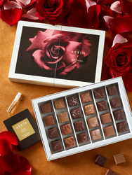 AERIN x andSons Collection