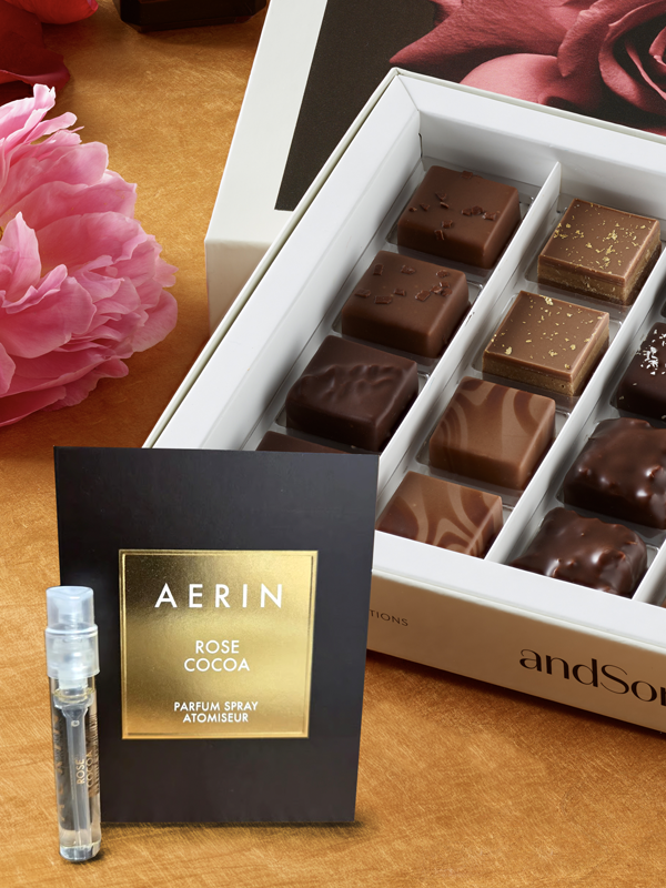 AERIN x andSons Collection